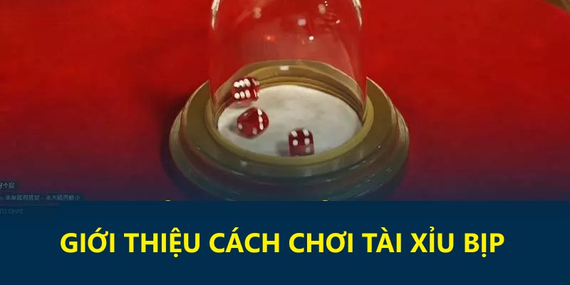 Cách chơi Tài Xỉu bịp là thay đổi kết quả theo mong muốn