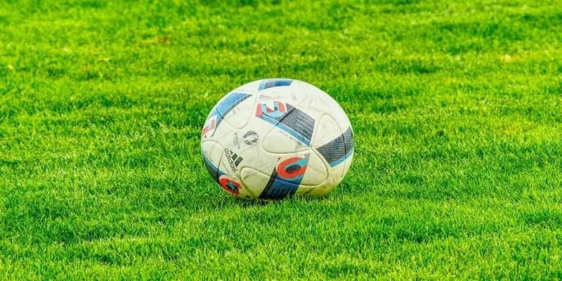 Kiểm tra kỹ tỷ lệ cược nhà cái cung cấp
