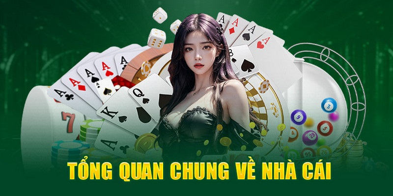 Đăng nhập QQ88 không lo lừa đảo